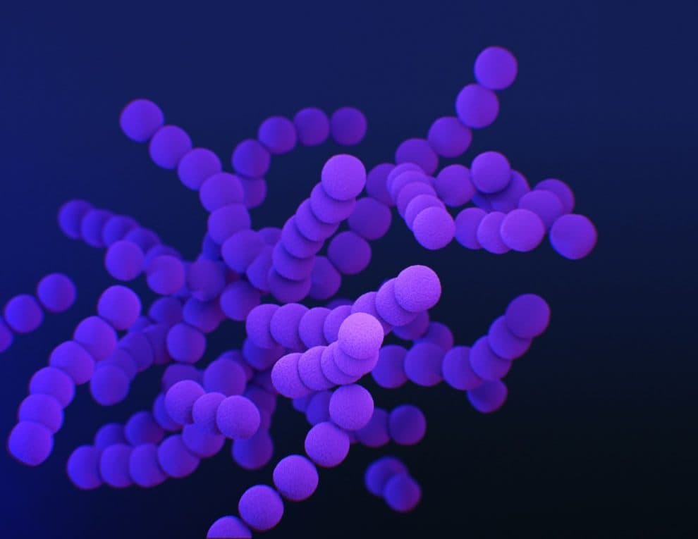 Spammers Use Coronavirus Message to Deploy Keylogger